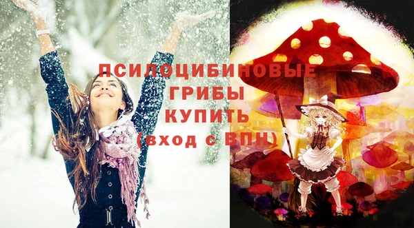 мет Елабуга