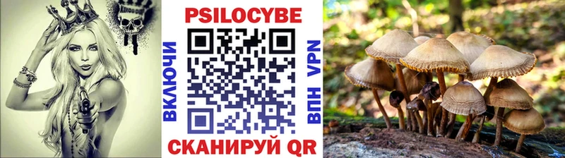 Купить где  Цимлянск  Галлюциногенные грибы Cubensis 